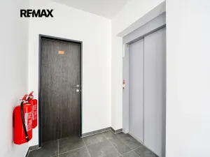 Pronájem bytu 2+kk, Plzeň, Železná, 64 m2
