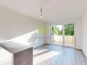 Pronájem bytu 1+kk, Olomouc, Frištenského, 32 m2