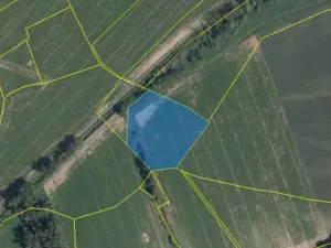 Prodej pole, Brandýs nad Labem-Stará Boleslav, Maxe Švabinského, 10667 m2