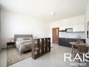 Prodej bytu 1+kk, Brno, Vranovská, 29 m2