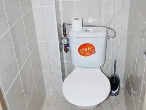 Pronájem bytu 2+1, Praha - Žižkov, Ostromečská, 80 m2