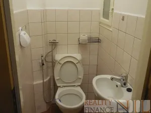 Pronájem bytu 3+1, Plzeň, Žižkova, 100 m2