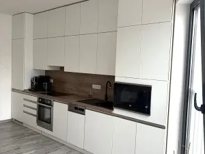 Pronájem bytu 3+kk, Plzeň, Otýlie Beníškové, 80 m2