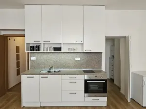 Pronájem bytu 1+kk, Plzeň - Východní Předměstí, Sladkovského, 36 m2