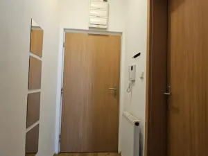 Pronájem bytu 1+kk, Plzeň - Východní Předměstí, Sladkovského, 36 m2