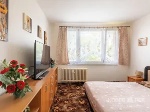 Prodej bytu 2+1, Sezimovo Ústí, Krátká, 46 m2