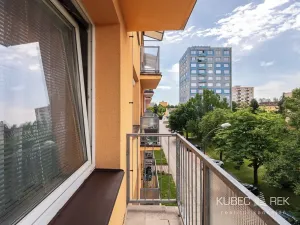 Prodej bytu 2+1, Sezimovo Ústí, Krátká, 46 m2