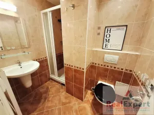 Pronájem bytu 1+kk, Praha - Žižkov, Jeseniova, 25 m2