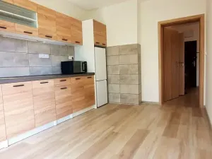 Pronájem bytu 4+1, Brno, Bohuslava Martinů, 95 m2
