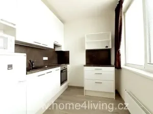 Pronájem bytu 1+kk, Brno, Nad Přehradou, 25 m2