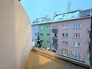 Pronájem bytu 1+1, Brno, Mathonova, 45 m2