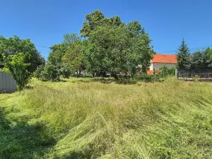 Prodej rodinného domu, Březová-Oleško, 298 m2