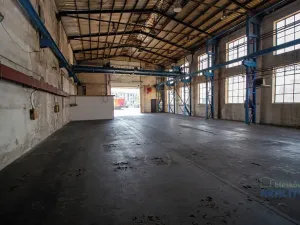 Pronájem skladu, Brandýs nad Labem-Stará Boleslav, 424 m2