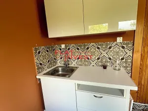 Prodej chaty, Vráž, Na Lesích, 60 m2
