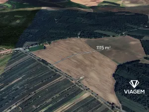 Prodej pole, Dolní Bojanovice, 1115 m2