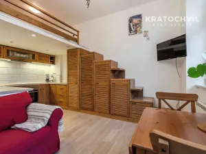 Pronájem bytu 1+kk, Praha - Bubeneč, Korunovační, 32 m2
