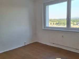 Pronájem bytu 1+1, Cheb, Dvořákova, 38 m2
