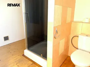 Prodej rodinného domu, Nadryby, 170 m2
