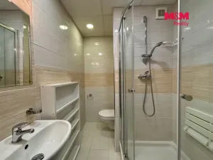 Prodej bytu 1+kk, Orlová - Lutyně, 1. máje, 33 m2