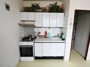Prodej bytu 1+1, Plzeň, Žlutická, 39 m2