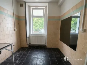 Pronájem skladu, Praha - Libeň, Na Košince, 150 m2
