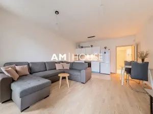 Pronájem bytu 2+kk, Praha - Žižkov, Olšanská, 62 m2