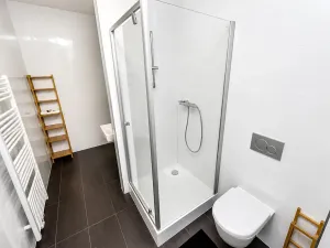Pronájem pokoje, Praha - Vinohrady, Londýnská, 22 m2