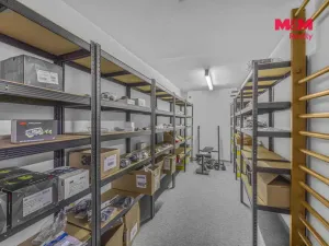 Prodej obchodního prostoru, Pardubice - Zelené Předměstí, Mikulovická, 330 m2