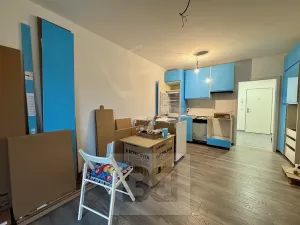 Pronájem bytu 1+kk, Polná, Pojmannova, 33 m2