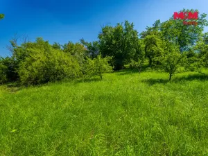 Prodej pozemku pro bydlení, Děčín - Děčín XXVII-Březiny, 1141 m2