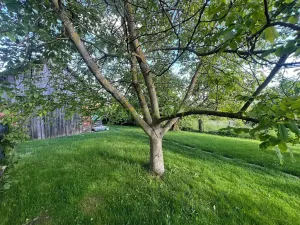 Prodej rodinného domu, Hořice, 80 m2