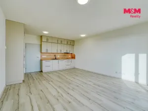Pronájem bytu 1+kk, Plzeň - Litice, Srncová, 36 m2