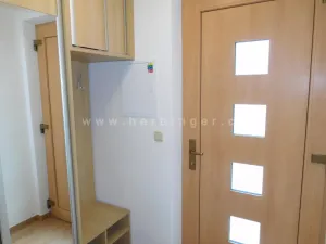 Pronájem bytu 1+kk, Šlapanice, Riegrova, 23 m2