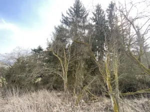 Prodej pozemku, Městečko Trnávka - Lázy, 384 m2