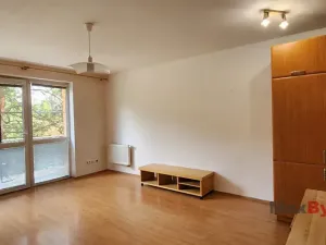Pronájem bytu 1+kk, Liberec, Hanychovská, 47 m2