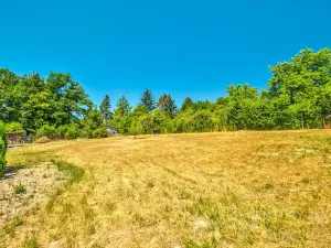 Prodej pozemku pro bydlení, Březová-Oleško, Lomená, 1254 m2