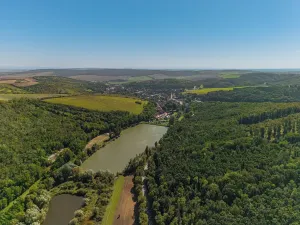 Prodej rodinného domu, Boleradice, 105 m2