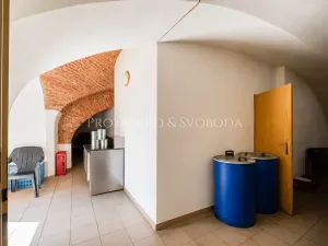 Prodej činžovního domu, Dobšice, Lahoferova, 218 m2