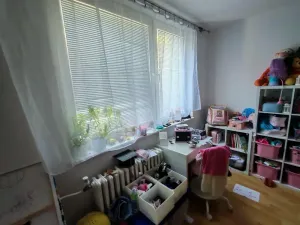 Pronájem bytu 3+1, Prostějov, Mozartova, 85 m2