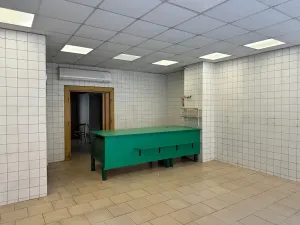 Pronájem obchodního prostoru, Děčín, Čs. legií, 63 m2