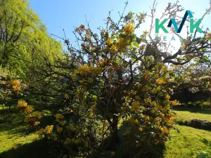 Prodej chaty, Karlovy Vary, 23 m2