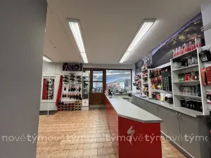 Prodej rodinného domu, Přelouč, Pražská, 225 m2