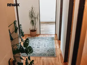 Prodej bytu 3+1, Bučovice, 82 m2