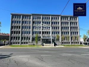 Pronájem skladu, Ostrava, Novinářská, 236 m2