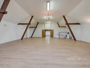 Prodej komerční nemovitosti, Horní Cerekev, 460 m2