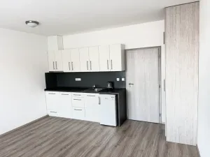 Pronájem bytu 1+kk, Brno, Vranovská, 26 m2
