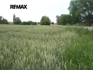 Prodej pozemku pro bydlení, Hořesedly, 985 m2