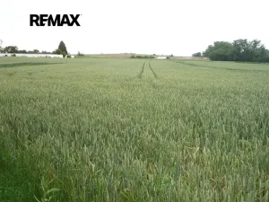 Prodej pozemku pro bydlení, Hořesedly, 985 m2