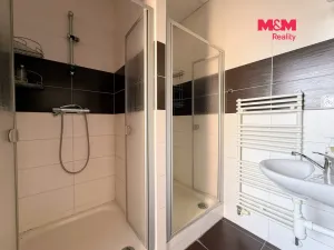 Pronájem skladu, Ostrava - Přívoz, 191 m2