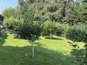 Prodej chaty, Boršov nad Vltavou, 41 m2